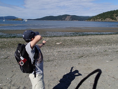 Andrew aiming his slingshot at shells lined up on a log on the beach.