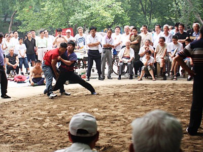 Wide angle shot of two wrestlers wrestling as the crowd watches.