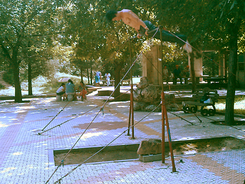 Ripped dude on top of a high bar in Ritan Park.