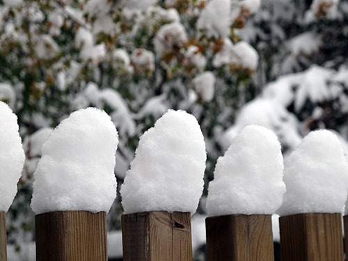 Little piles of snow on my fence.