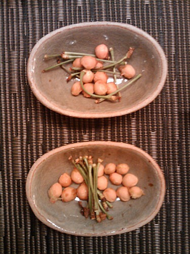 Two little bowls of cherry pits and stems. The top one is messy, the bottom one has the stems and pits very neatly arranged.