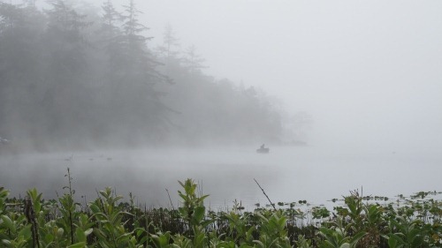 Foggy Cranberry Lake with a shadowy fisherman in a boat.