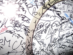 My signature on the DVD (little one in the very middle with a little IE7 in a circle next to it.)